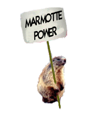 mode hibernation Gifs1-marmotte-power