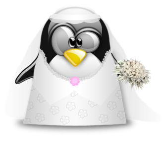 mariee-pingouin.png