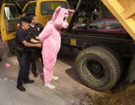 arrestation-police-panthere-rose.jpg